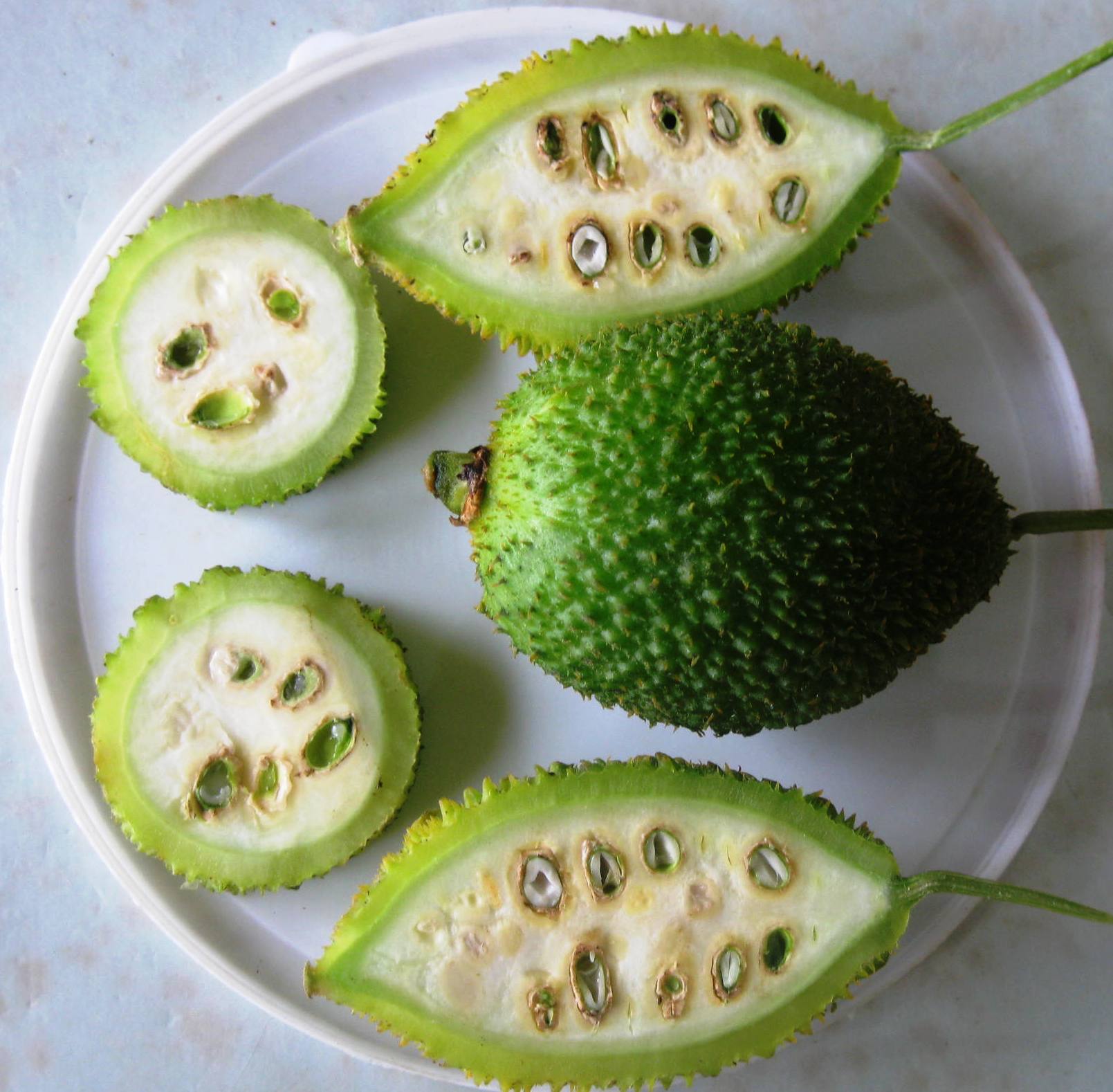 Teasel gourd kakrol for export from Bangladesh